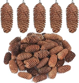 50 Pieces Natural Hanging Pine Cones with Claw Nails Christmas Snow Pine Cones Crafts Rustic Fall Garland Large Halloween Thanksgiving Decorations Christmas Tree Fall Ornaments for DIY