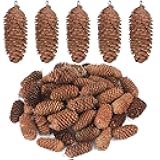 Canlierr 50 Pieces Natural Hanging Pine Cones with Claw Nails Christmas Snow Pine Cones Crafts Rustic Fall Garland Large Halloween Thanksgiving Decorations Christmas Tree Fall Ornaments for DIY
