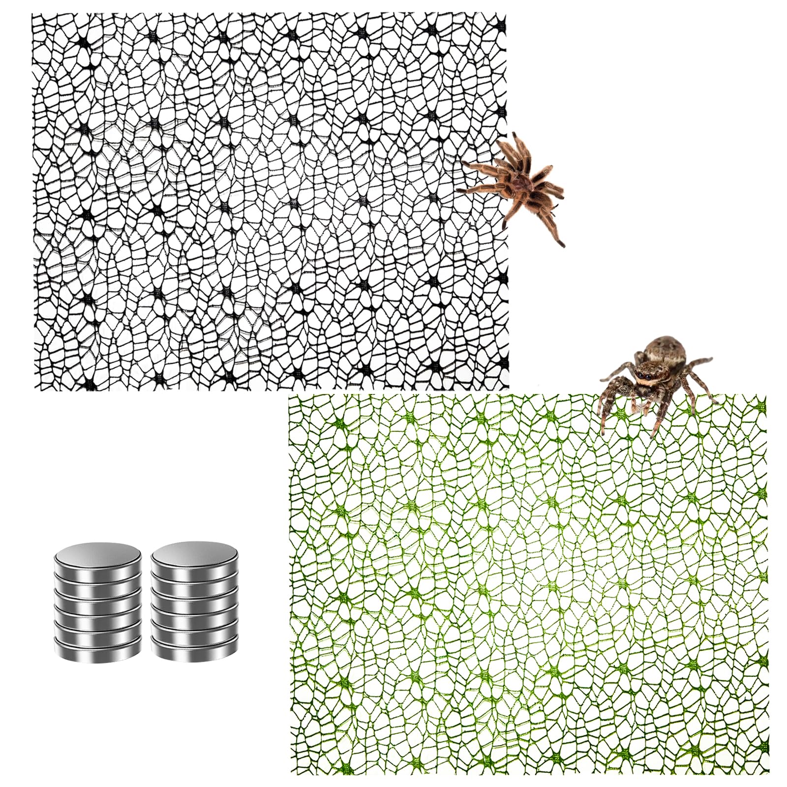 Hamiledyi Jumping Spider Enclosure Accessories Climbing Net Magnetic Spider Web Mesh Mantis Enclosure Net Tarantula Terrarium Habitat Decor (Green+Black)
