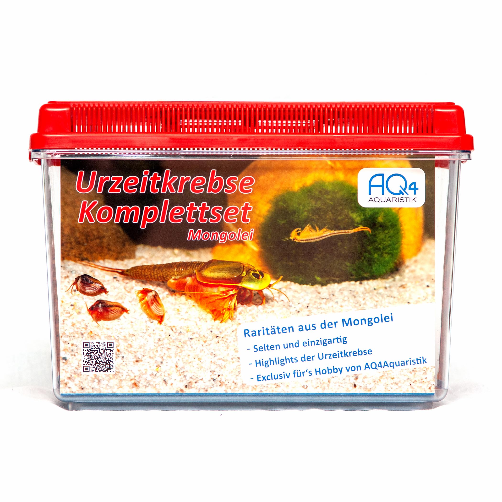 Triops sp. Mongolei Premium Komplett-Set mit Urzeitkrebs Eiern, 6 l Becken, LED-Beleuchtung, Zuchtansatz, Heizung, Filter, Luftpumpe, Kescher, Futter, Zubehör, Anleitung