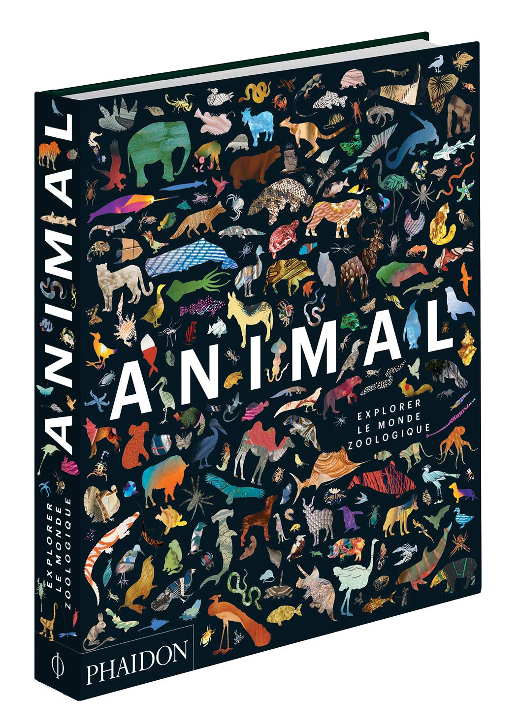 Animal: EXPLORER LE MONDE ZOOLOGIQUE