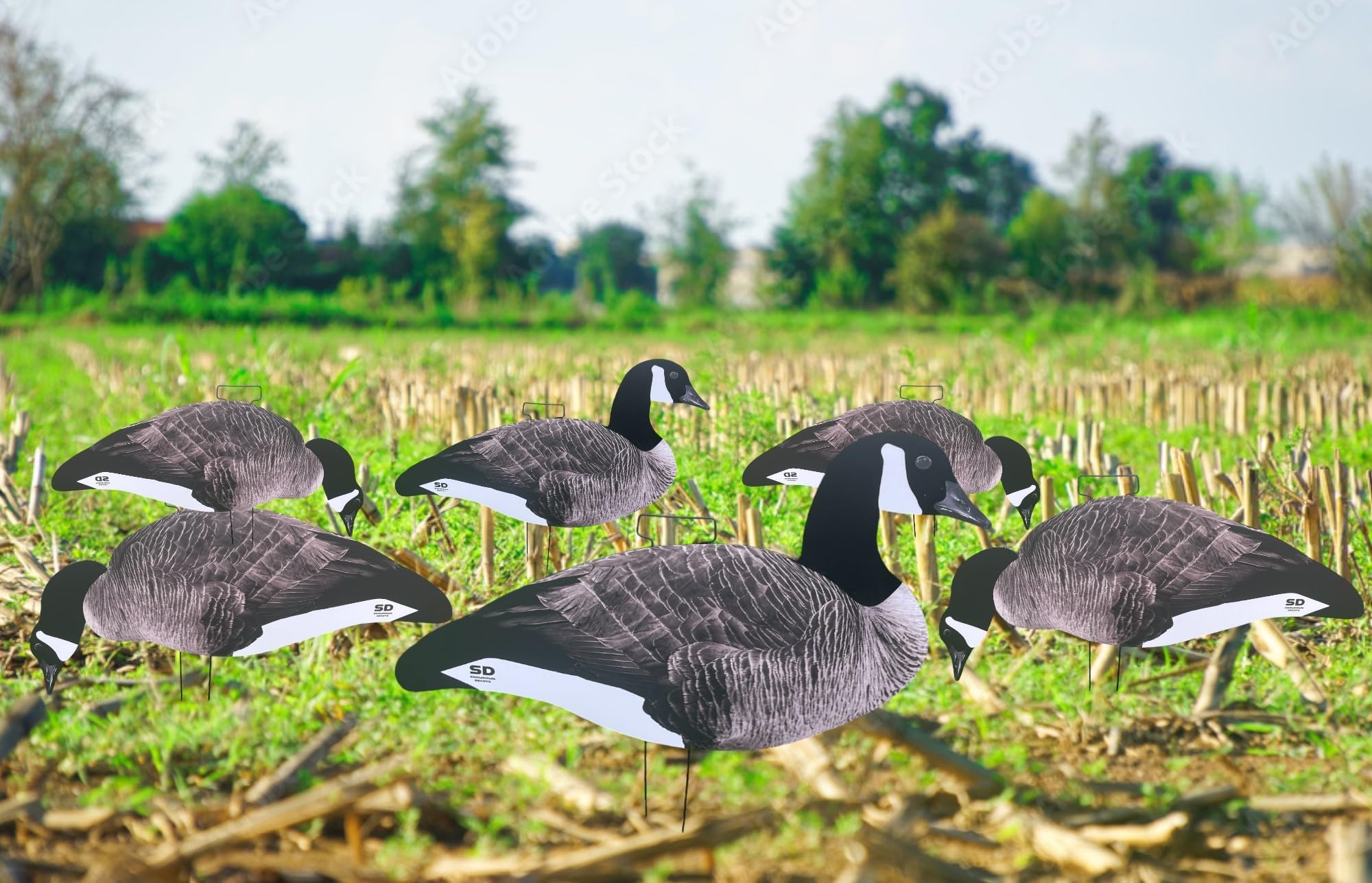 Snow Down Decoys Canada Goose Silhouette Decoys. Canda Goose Silhouette Decoys with Flocked Heads and Metal Stakes. 12 Pack, Blue