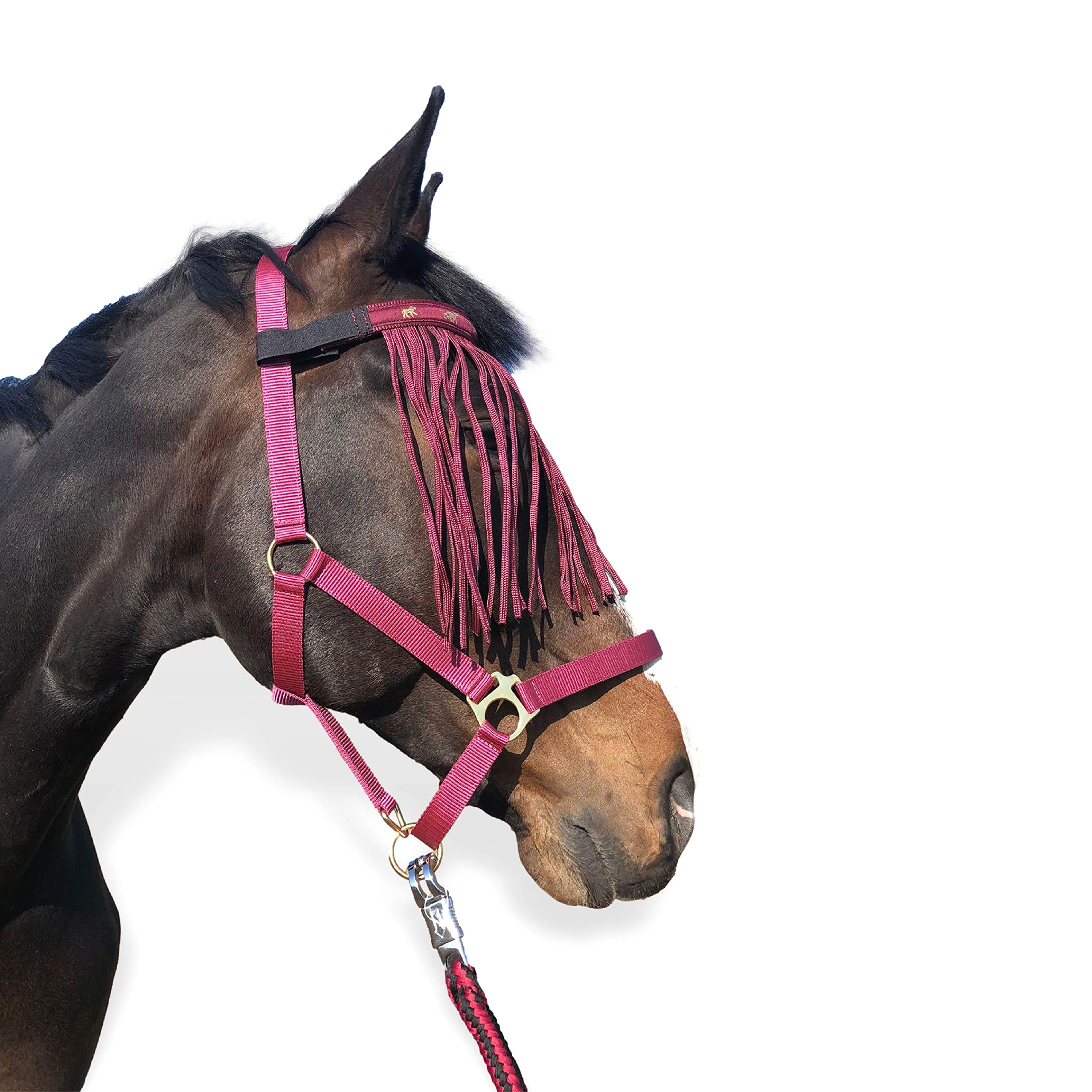 Cabestro para caballos con cuerda y flecos de mosca, Protectores, Cabestro con punto – Cabestro Pony Shetty Cabestro Cob Full Kb (sangre fría (X-Full), color burdeos negro