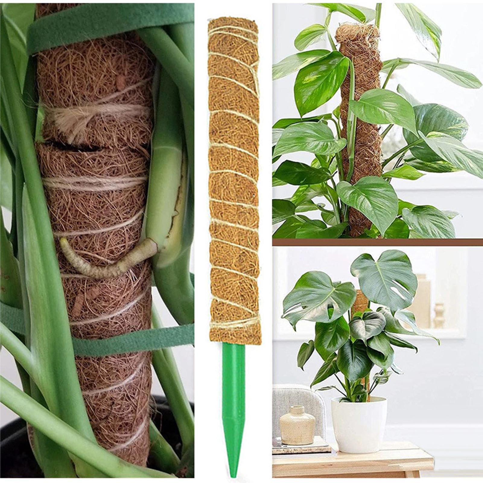 Tuteur en Mousse pour Monstera 4 Pièces de 41 cm Pliable et Réutilisable