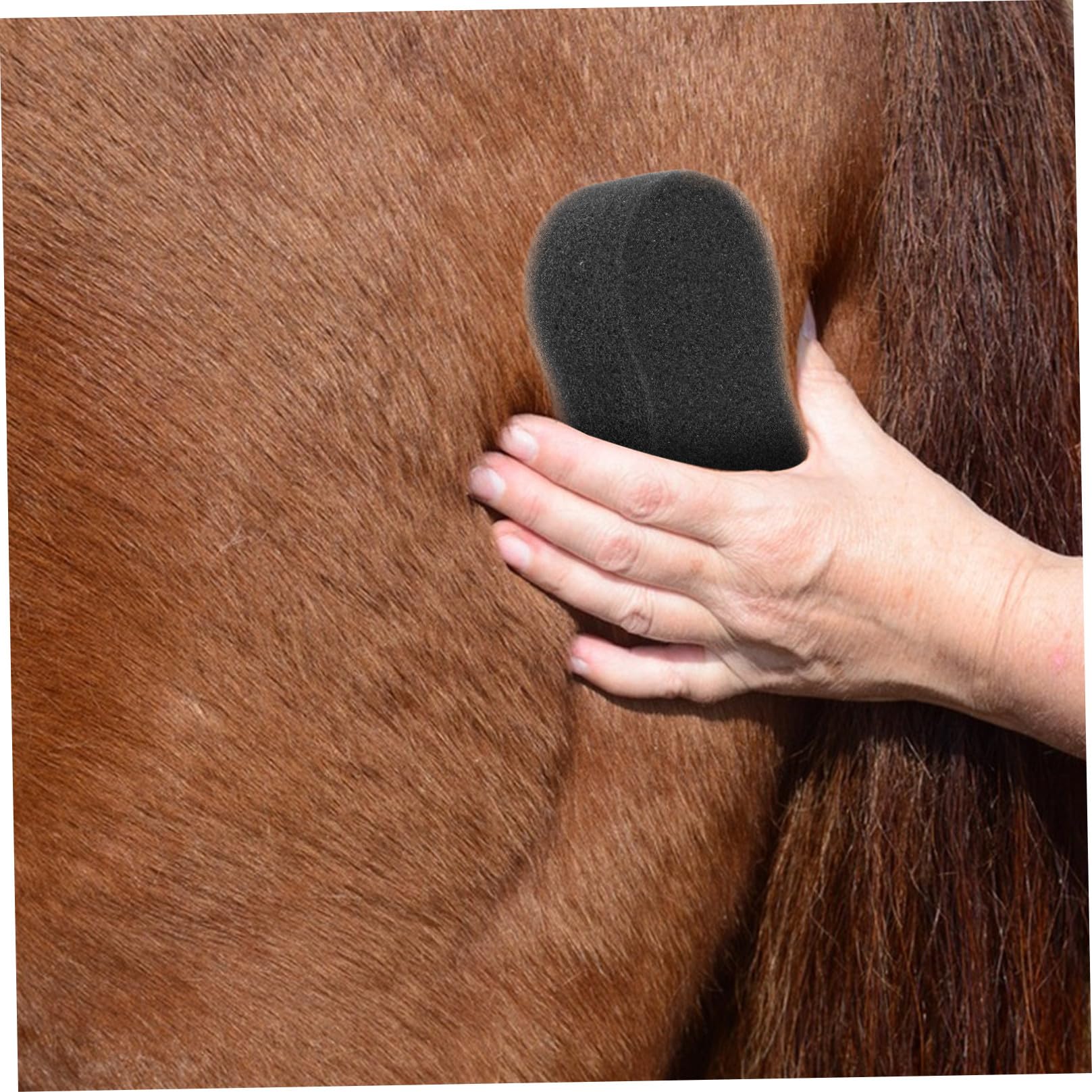 Esponjas de Limpieza Grandes para Caballos, Esponjas Suaves para Baño y Cuidado Corporal, Kit de 5 Piezas de 20x11 Cm, Ideales para Aseo Diario y Mantenimiento de Caballos