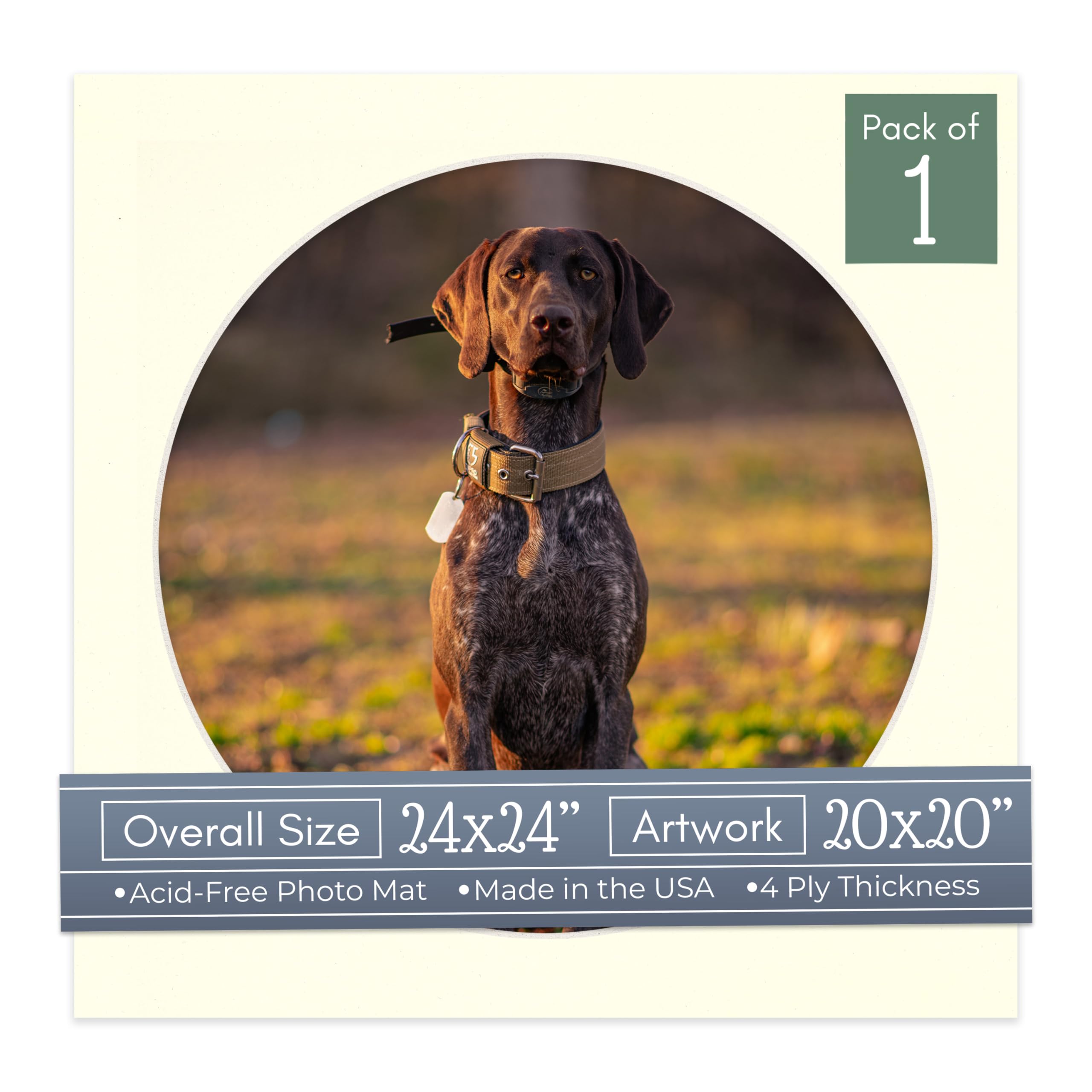 CountryArtHouse Textured Cream Acid Free 24x24 Circle Picture Frame Mat with White Core Bevel Cut for 20x20 Pictures - Fits 24x24 Frame - Pack of 1 Matboard-image-33