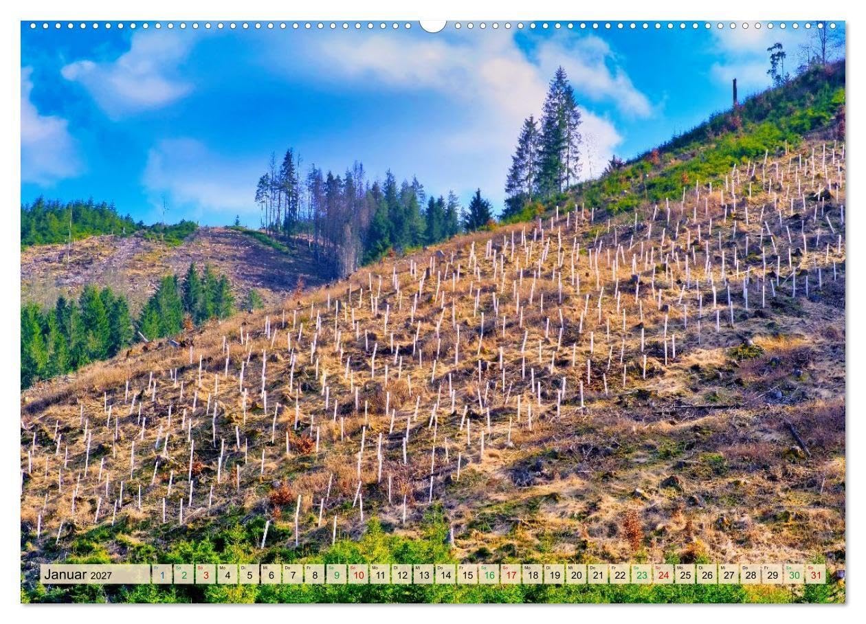 Thüringen nach dem Baumsterben (hochwertiger Premium Wandkalender 2027 DIN A2 quer), Kunstdruck in Hochglanz: Junges Grün, klare Horizonte und ein ... die Landschaft Thüringens. (CALVENDO Natur)
