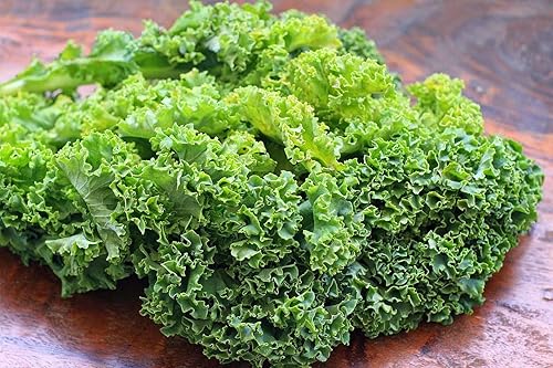 Miniatura 7 de Col rizada de dinosaurio - Repollo gigante - Vegetal de reliquia - Sin OMG