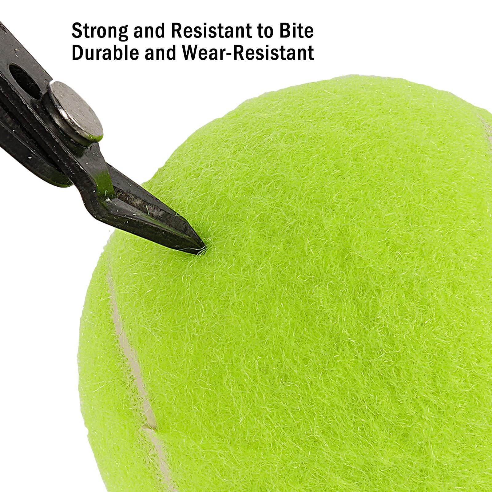 SOCO Pet Toy Balls