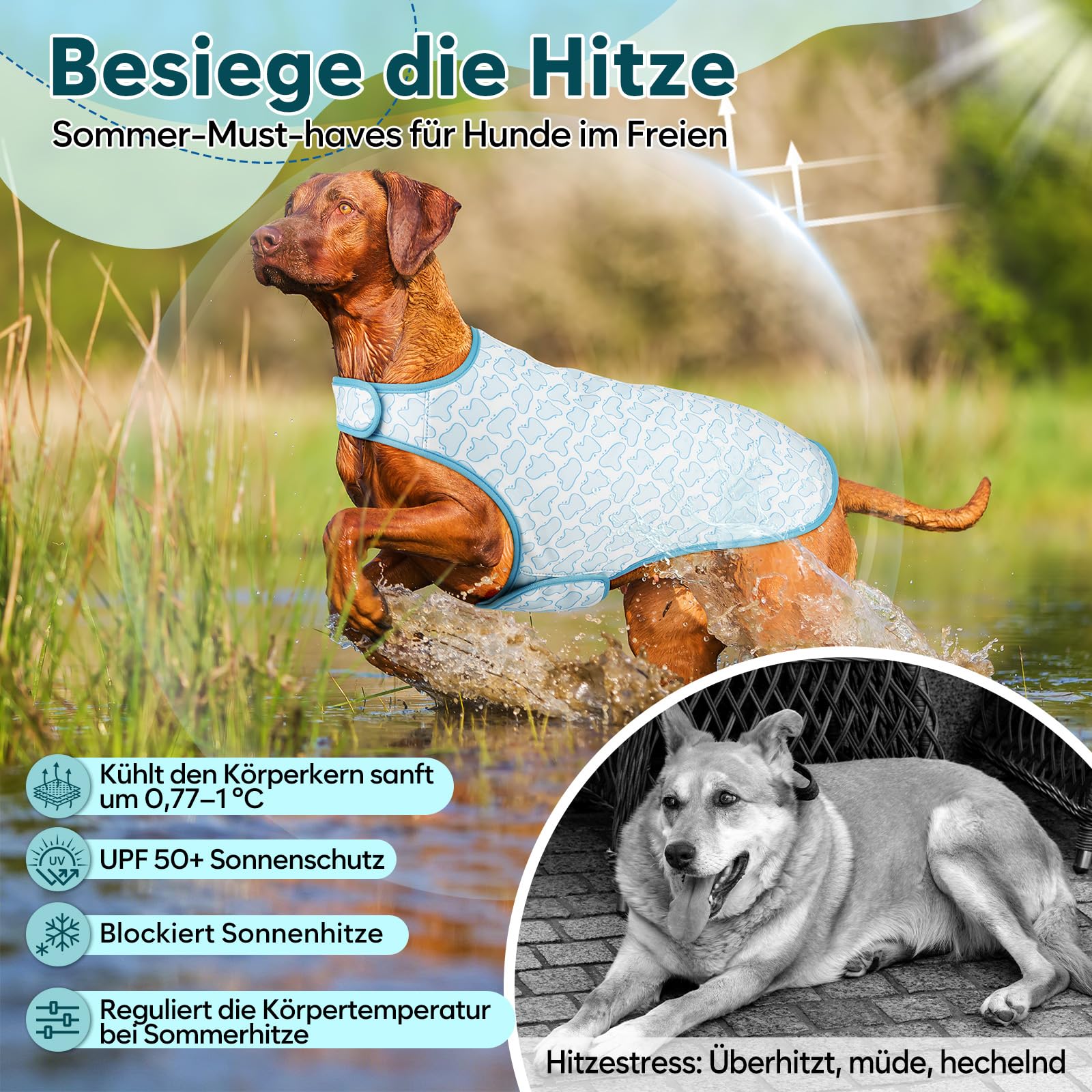 Gilet rinfrescante per cani – Leggero, protezione UV, regolabile, riutilizzabile, raffreddamento evaporativo, reversibile. Ideale per escursioni, corsa, viaggi, giochi.
