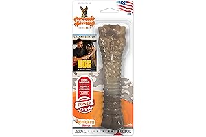 Nylabone Power Chew Camo Dog Toy: The Indestructible Solution for Aggressive Chewers