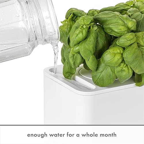 Miniatura 3 de Click and Grow Smart Garden 3 - Jardín de hierbas para interiores con luz de cultivo (3 vainas de albahaca incluidas) y paquete de cápsulas de