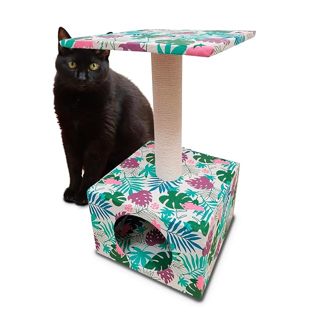 Croci Tropical Cave - Rascador Alto de Columna de 55 cm con Perrera para Gatos Adultos Grandes y pequeños…