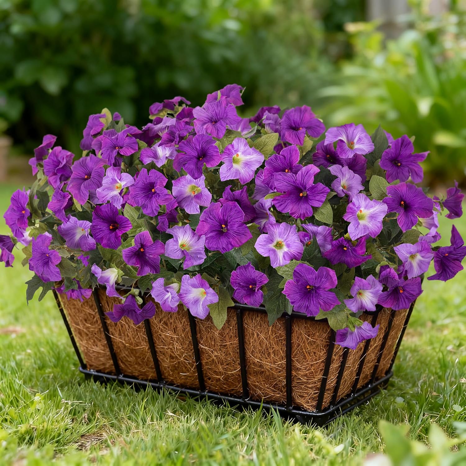 6 Pcs Artificial Petunia Flowers for Outdoors, Fake Flowers for Outdoor Planter, UV Resistant Realistic Faux Petunias Plants for Outside No Fade for Garden Porch Patio Indoor Decor(Double Purple)