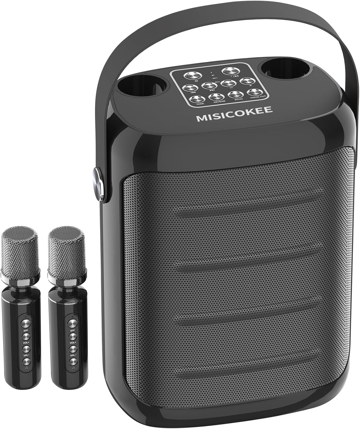 Karaoke Machine with 2 Wireless Microphones for Adults and