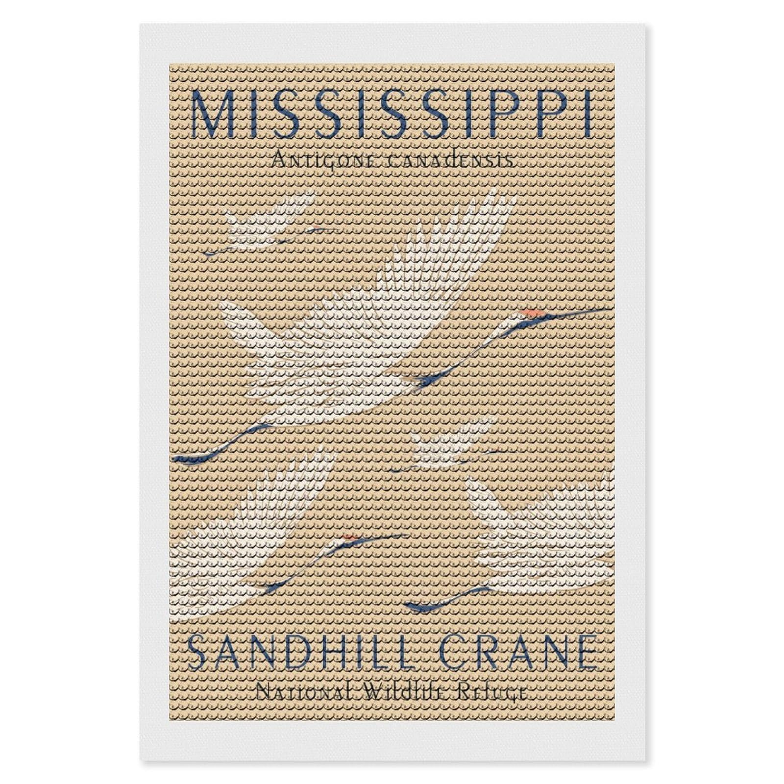 Junmoney Mississippi Sandhill Crane Diamond Painting Canvas Set 8"x12", Mindful Craft Activity, Nice Detail and Sparkle, Farmhouse Decor, Birthday Gift