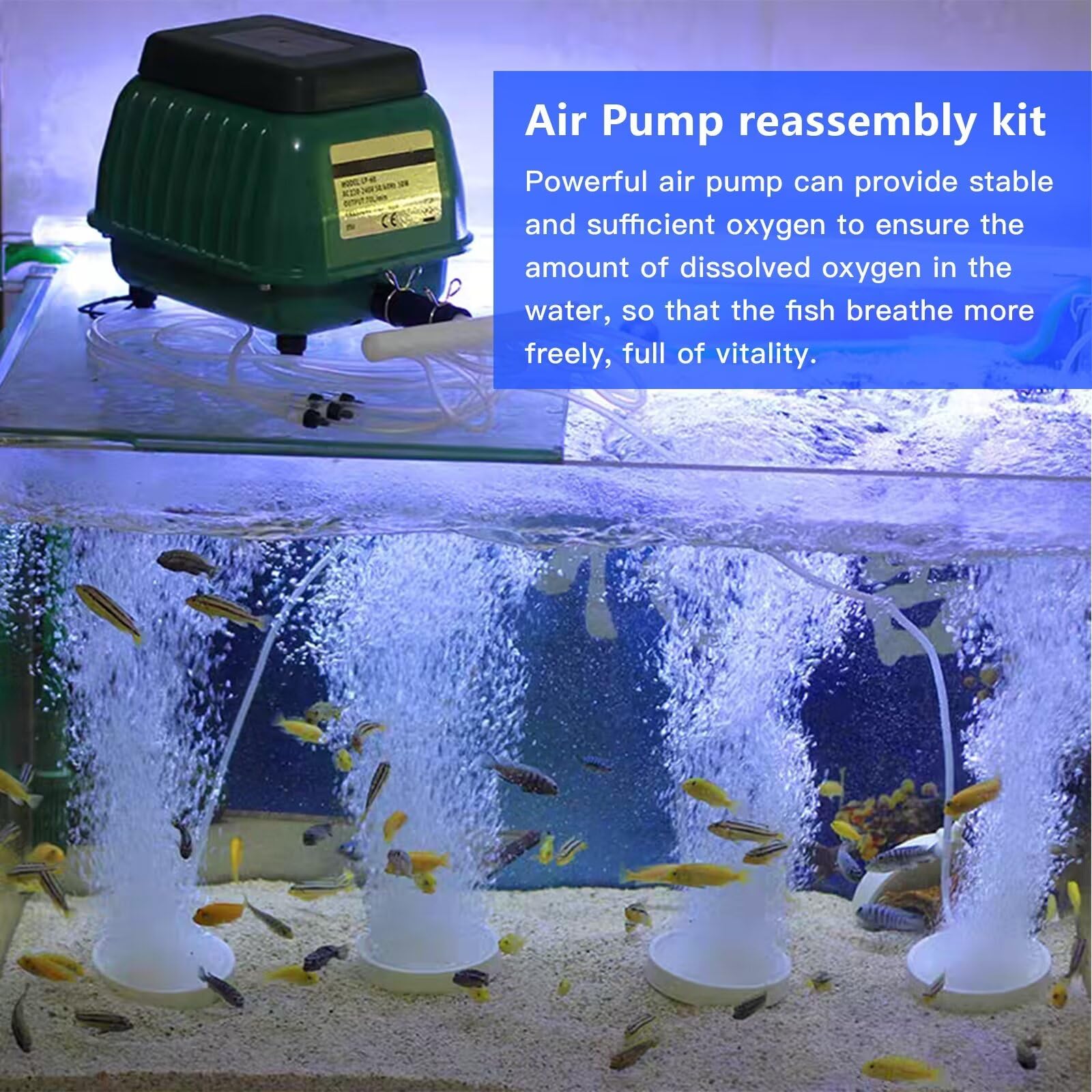 BUTITNOW New Air Pump Rebuild Kit for Delta Whitewater DF-50