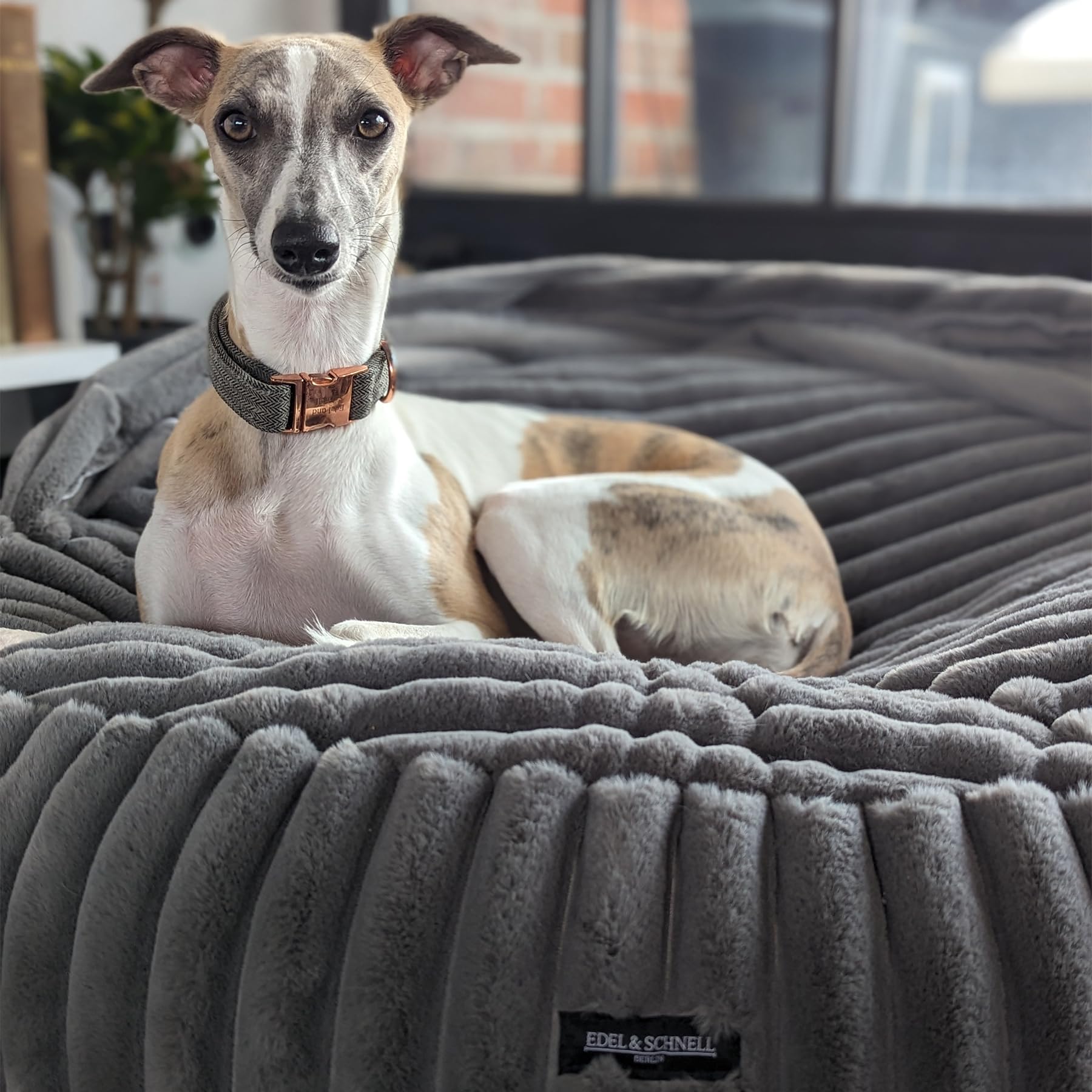 EDEL&SCHNELL Hundebett Bezug 125 cm dunkelgrau | Ersatzbezug aus Nerz-Kunstfell mit Deckel | passend für Hundebett Flocke, Cosybed & Hyggebed