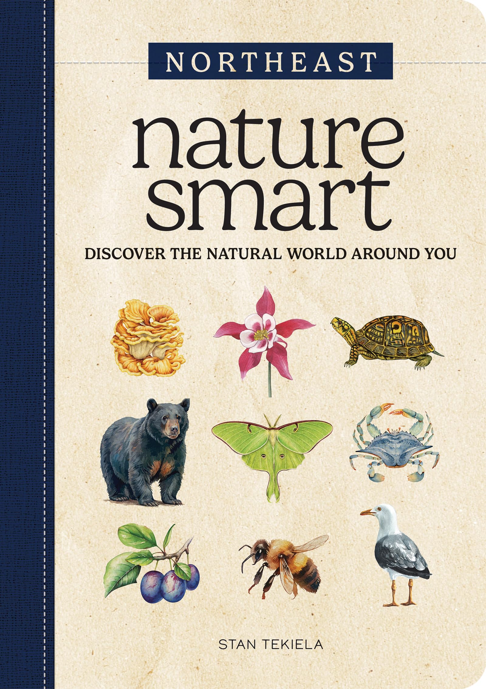 Nature Smart: Northeast: Discover the Natural World Around You