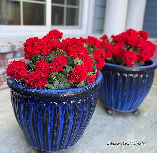 Miniatura 2 de Arbusto de geranio de 18 pulgadas, flores artificiales con protección UV, uso en interiores y exteriores, flores artificiales de geranio