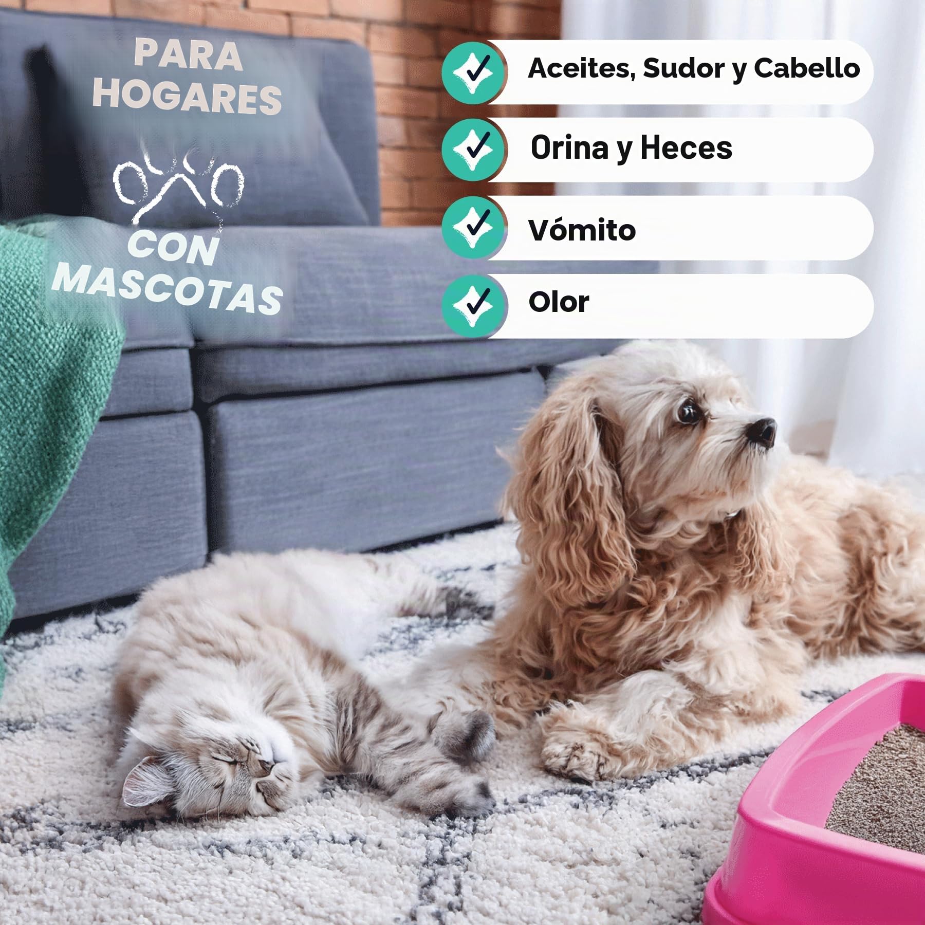 Dirtbusters Limpiador Concentrado de Moquetas, Alfombras y Tapicería para Mascotas. Elimina Manchas y Olores de Orina y Heces. Apto para Máquinas de limpieza. Aroma a Camomila y Geranio. 1 x 5 Litros