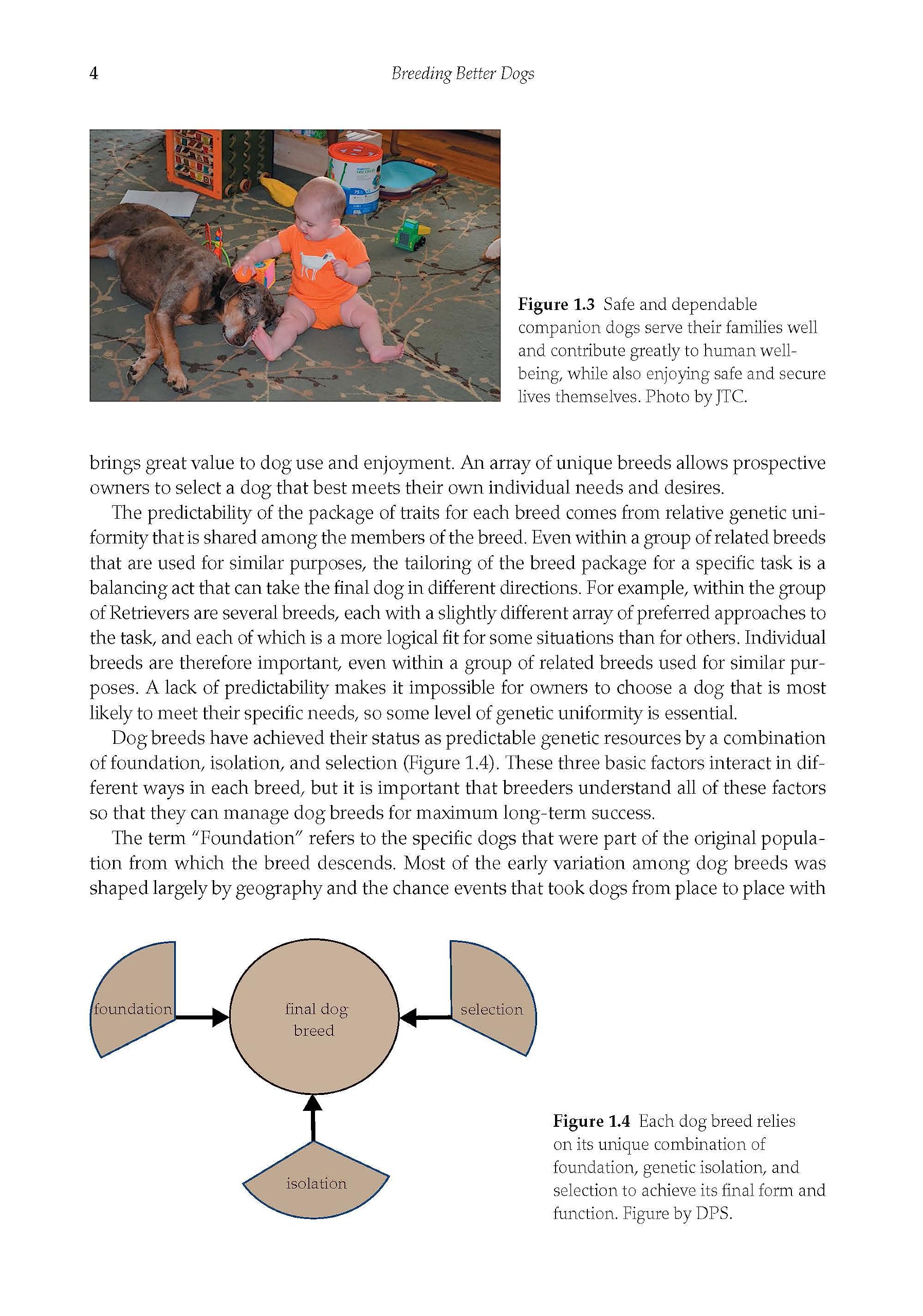 Breeding Better Dogs: Genetics and Reproduction (Animal Breeding)