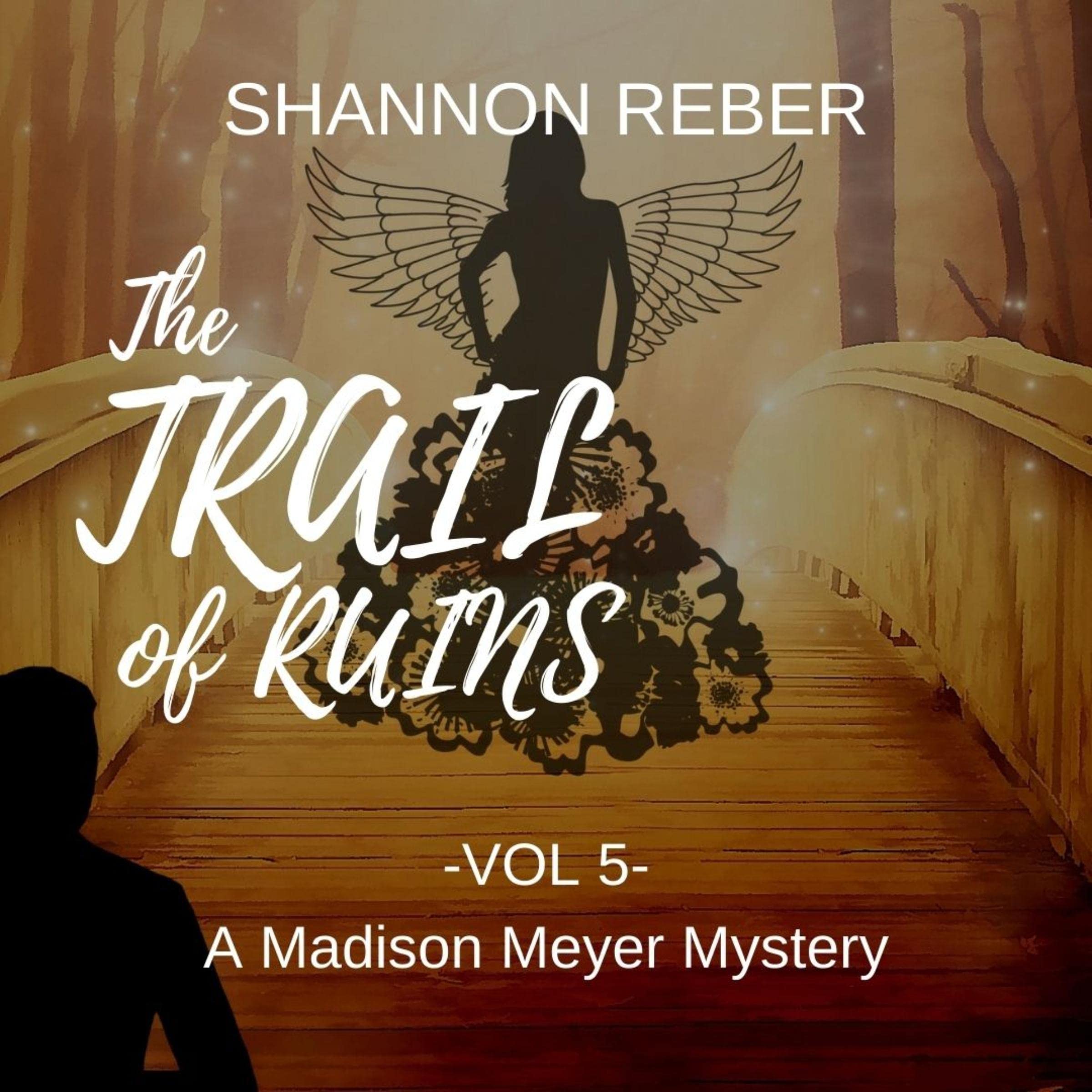 Cover art for The Trail of Ruins