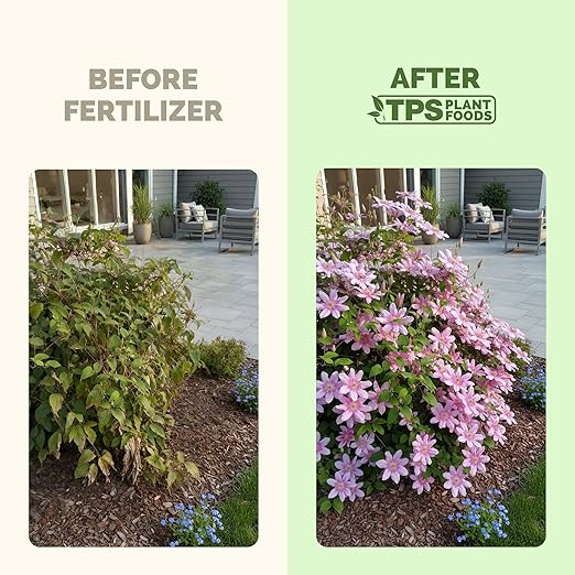 Fertilizante Líquido para Clematis TPS NUTRIENTS 8 oz miniatura 3