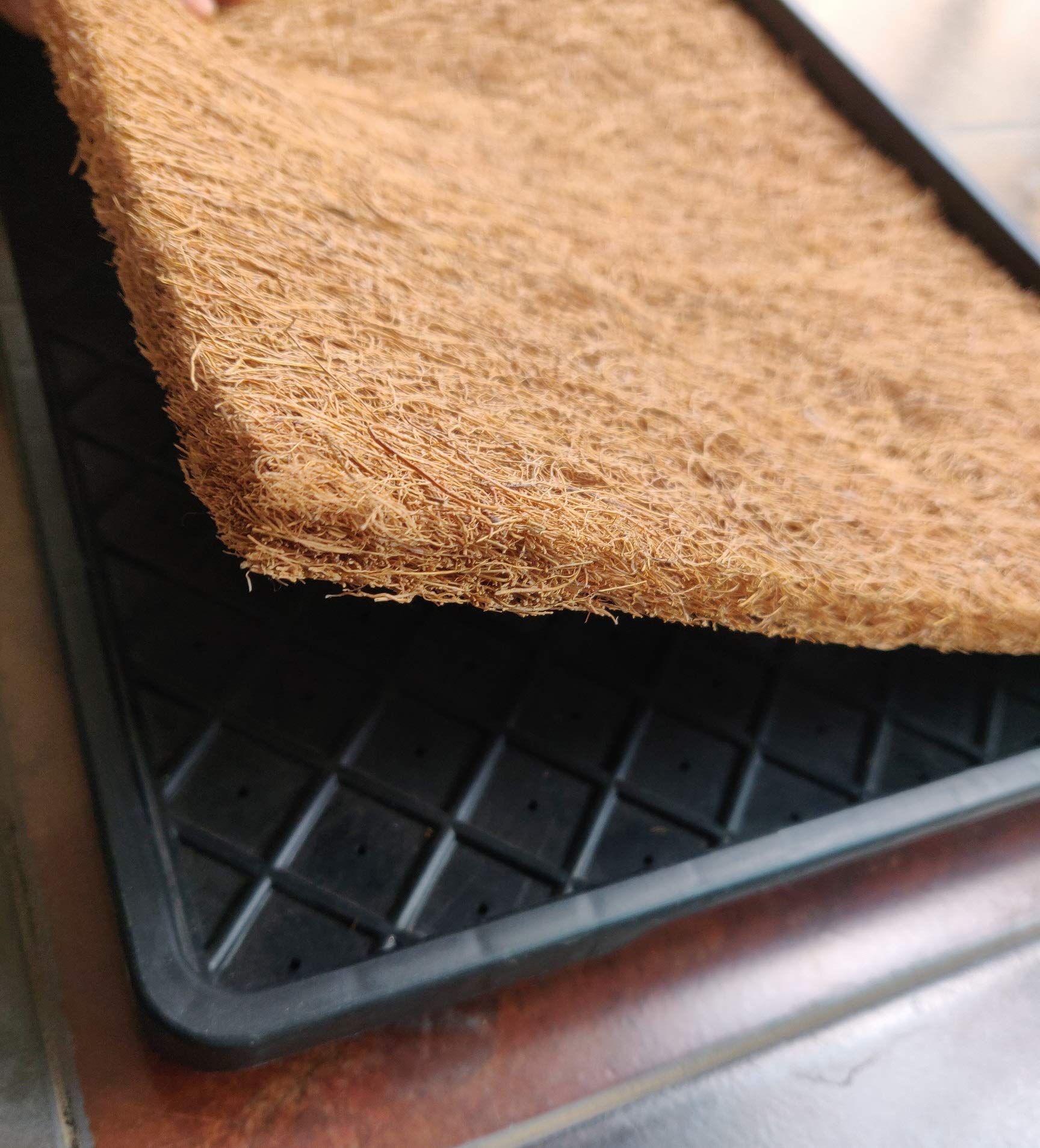 WE Hydroponics Plastic Hydroponics Microgreens Tray With Microgreens Coco Grow Mat, Black, 2ft x 1 ft, 1 Piece (B08VWDFFZX) Amazon Price History, Amazon Price Tracker