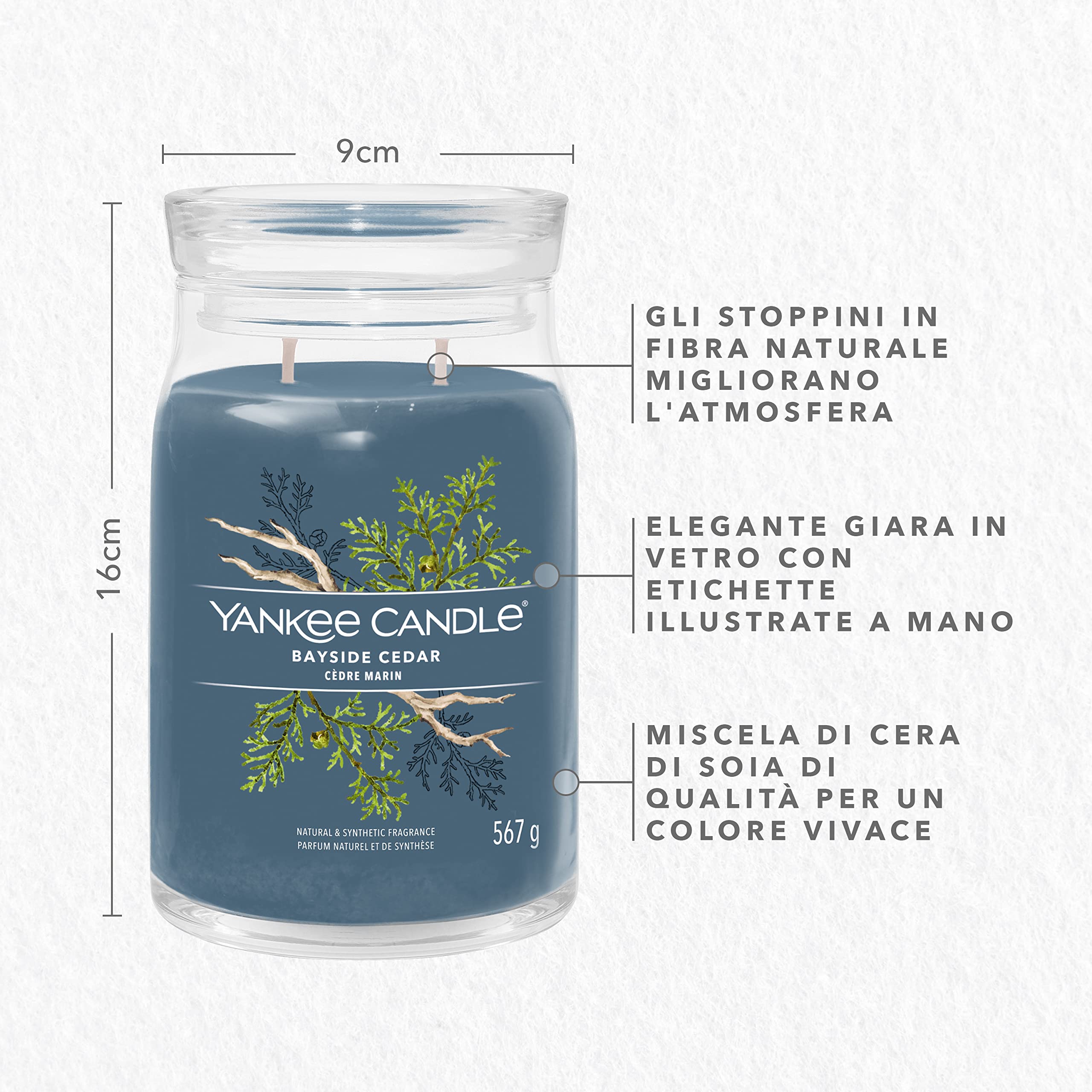 Yankee Candle Signature Candela Profumata, Cedro Lungo La Costa in Giara Grande, Candele di Miscela di Cera di Soia Lunga Durata, Regalo per le Donne