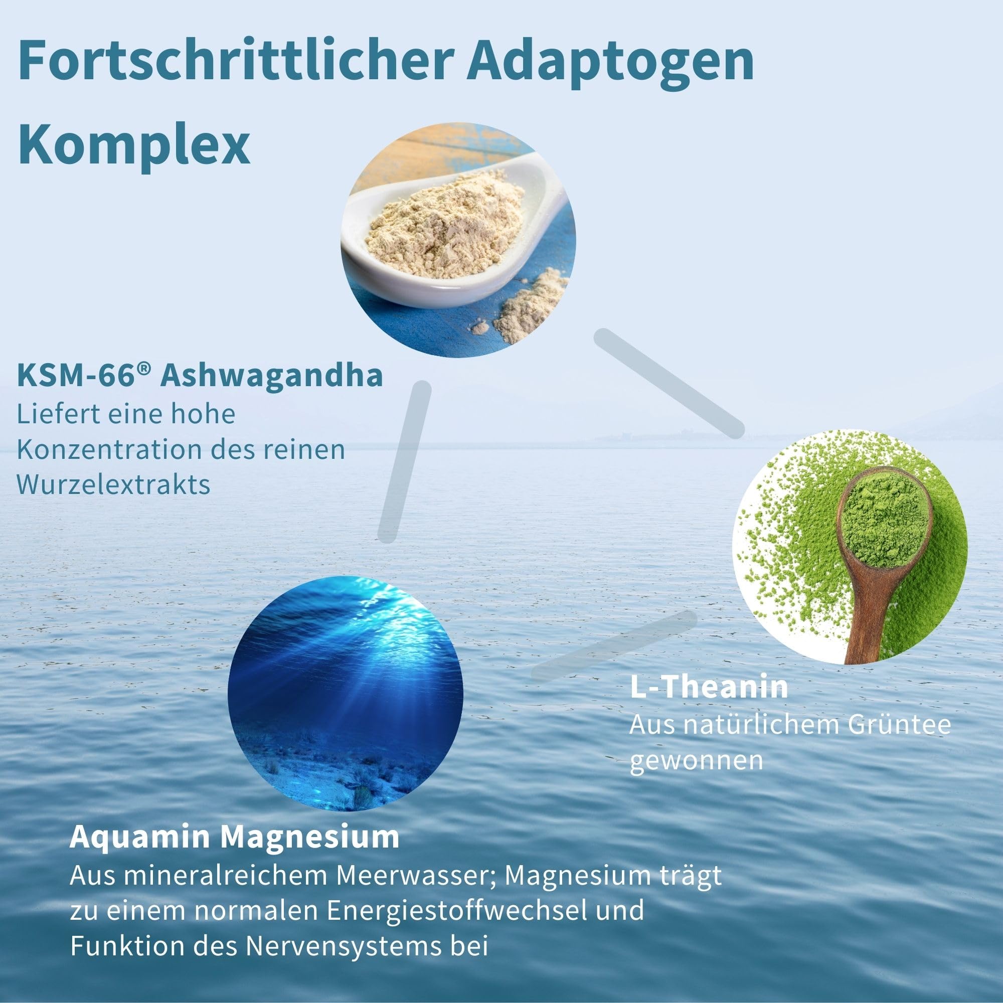 Igennus hochdosierter Ashwagandha Anti-Stress Komplex, KSM-66 Wurzelextrakt & L-Theanin & Magnesium, methylierte B-Vitamine, Adaptogen-Komplex für Entspannung & Schlaf, Clean Label, 60 vegane Kapseln
