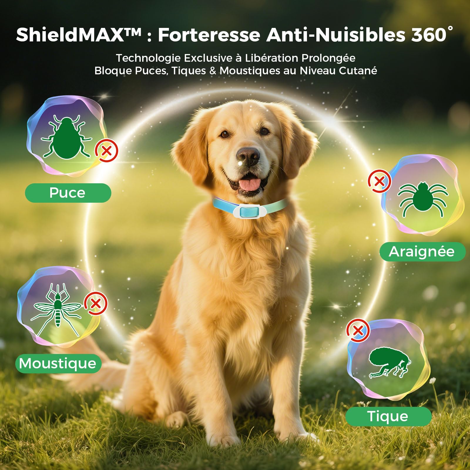 Collier Anti-Parasites pour Chien, Protection Continue 8 Mois, Anti-Puces & Anti-Tiques, Réglable 69cm, Résistant à l'eau
