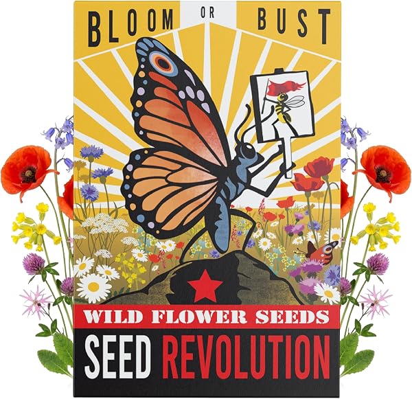 15 Varieties Native Wild Flower Seeds - Bloom or Bust Meadow Mix- Shade Friendly Wildflower Seeds for Planting UK - Native Gardening Gifts - Grow a Garden - (20g) - 1