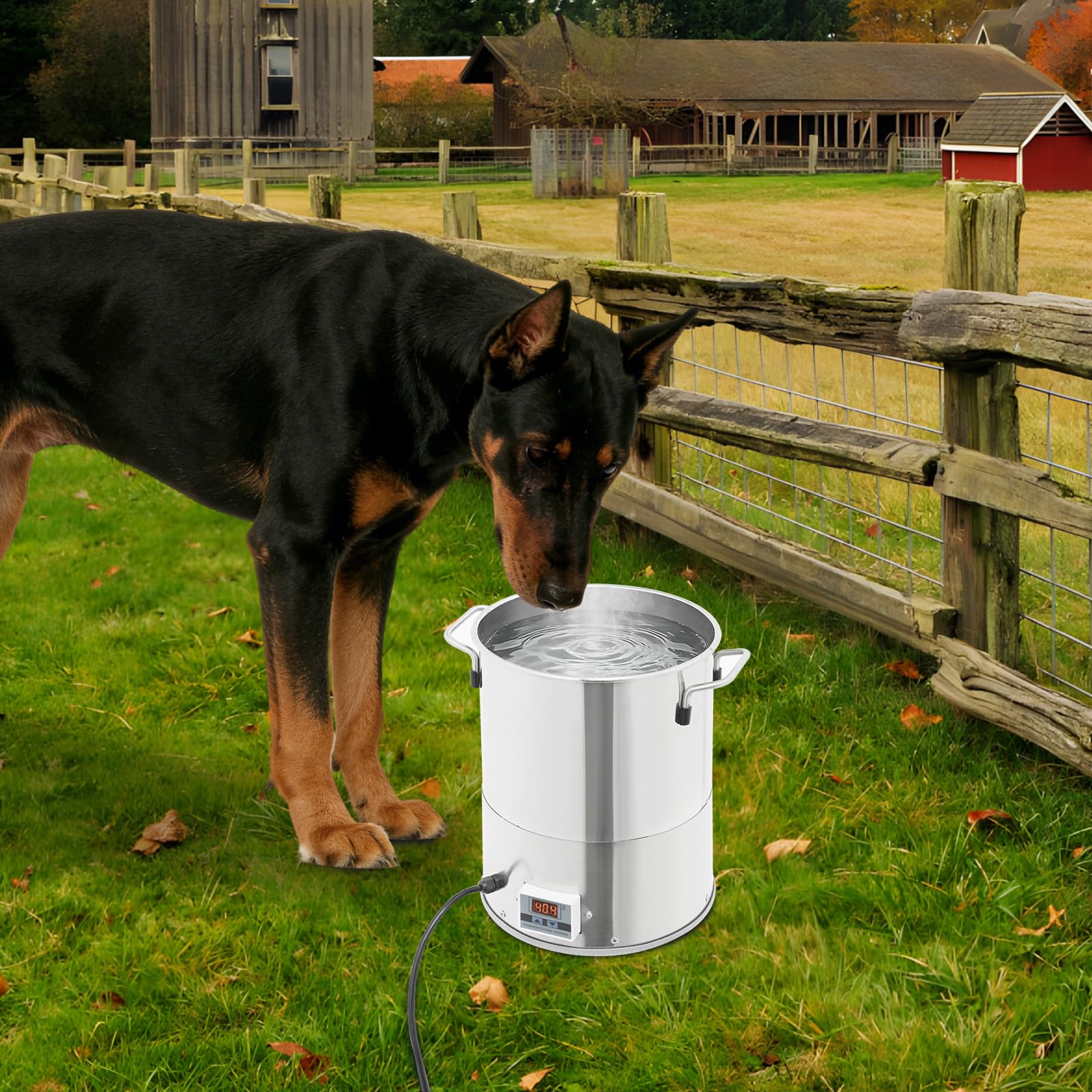 Bebedero calefactable para aves de corral de 11 litros con pantalla digital y calefacción de 80 W | Para agua sin heladas de 0 a 50 grados para aves de corral y mascotas en el jardín y el patio