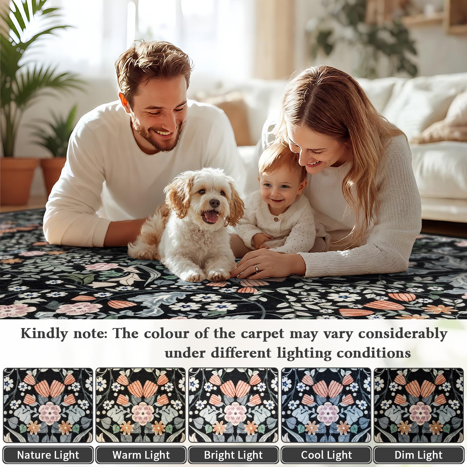 Tapis lavable pour le salon