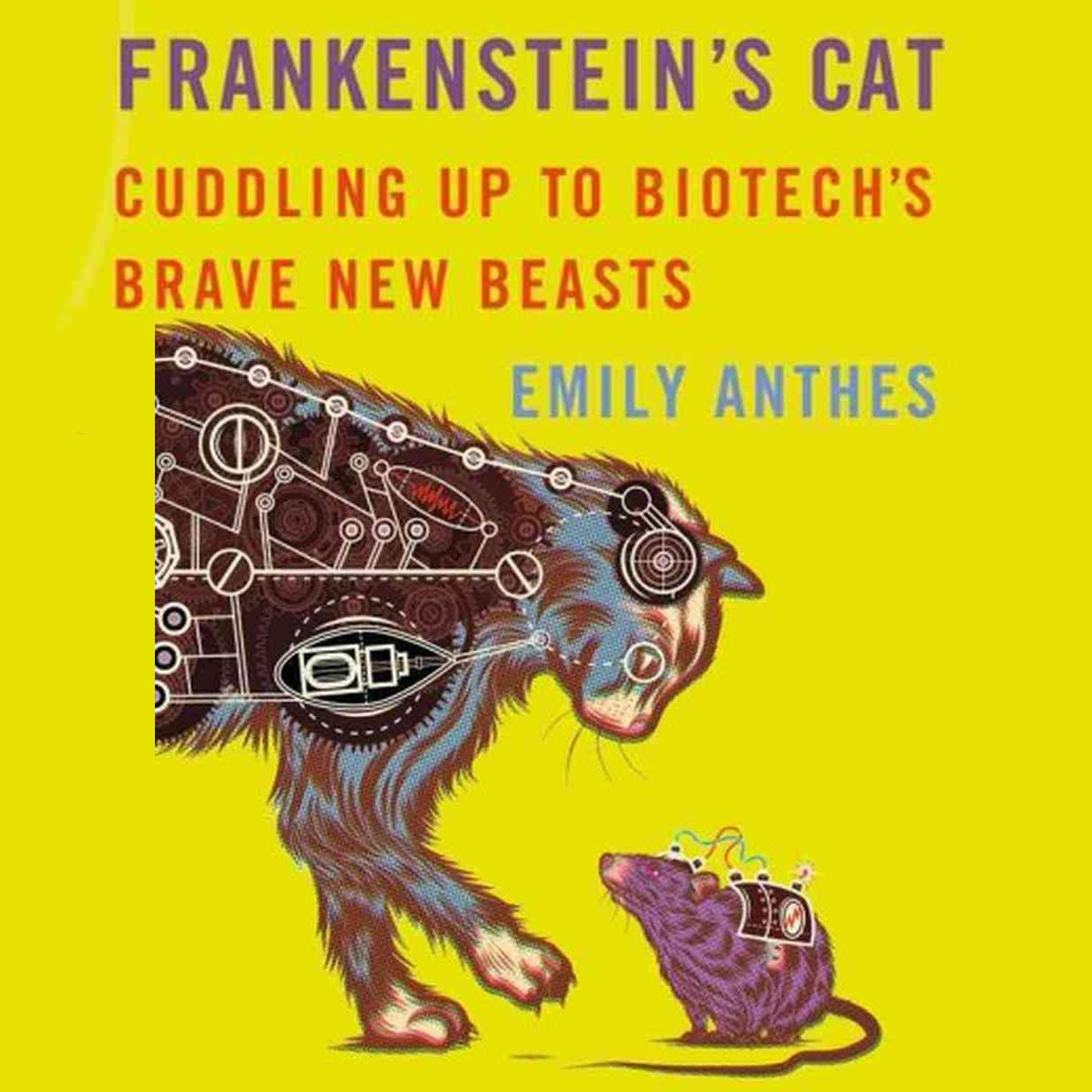 Cover art for Frankenstein's Cat