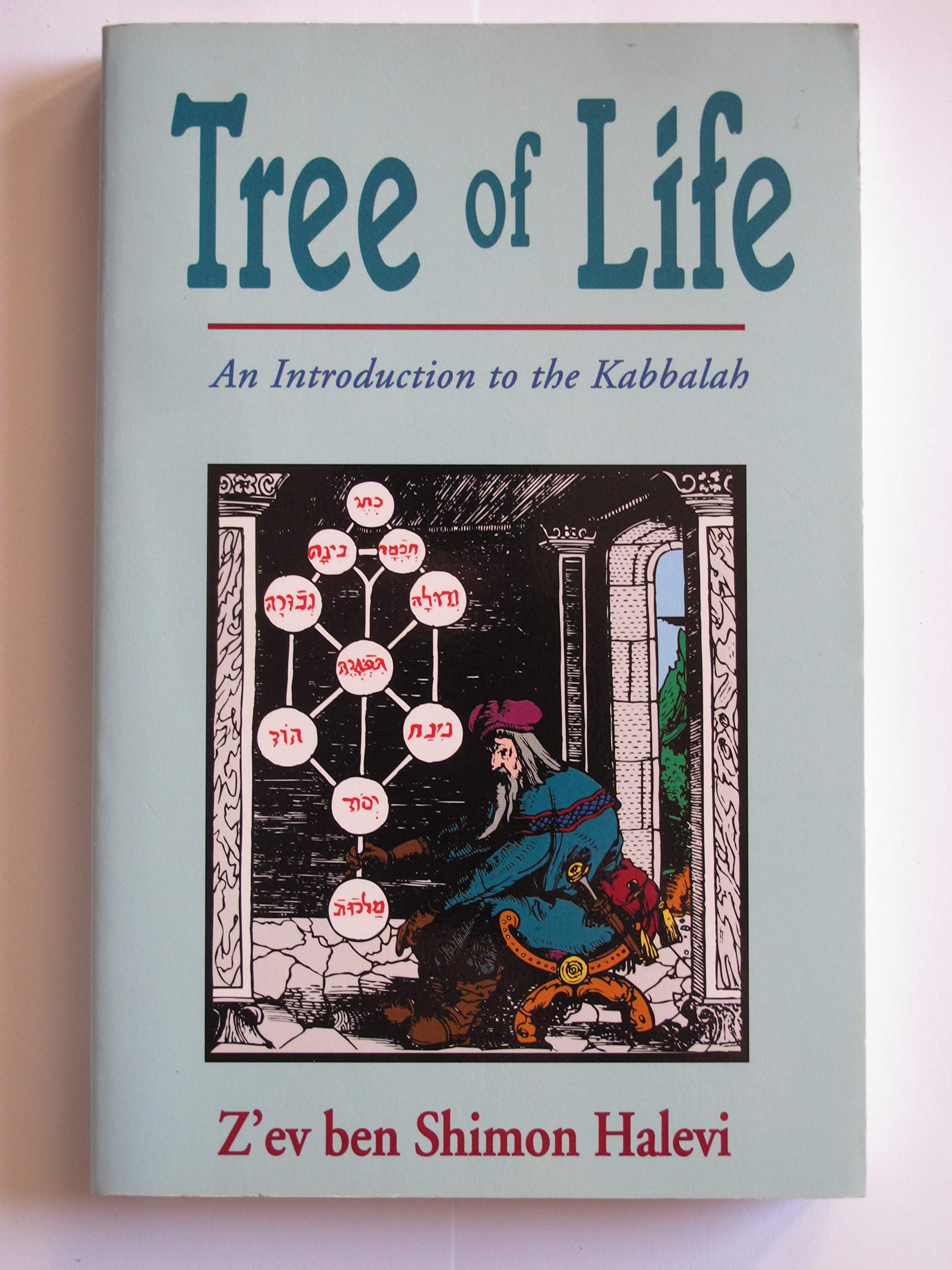 Buy Tree of Life: Introduction to the Kabbalah: Introduction to the Kaballah — BookShops.in