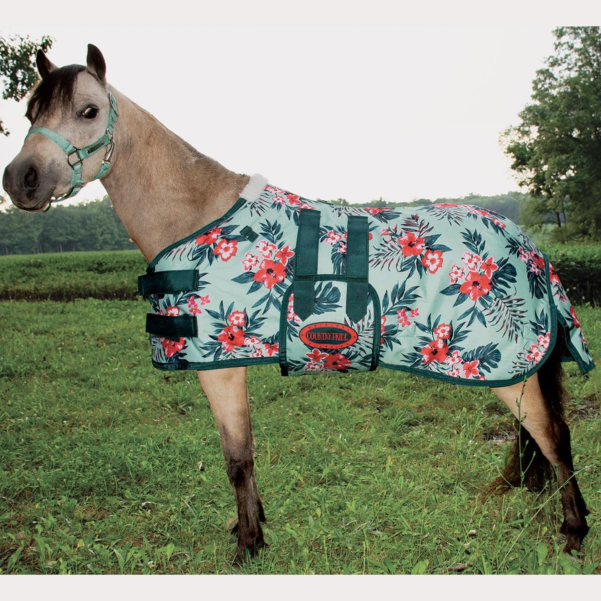 Country Pride Miniature Horse Bellyband Turnout Blanket