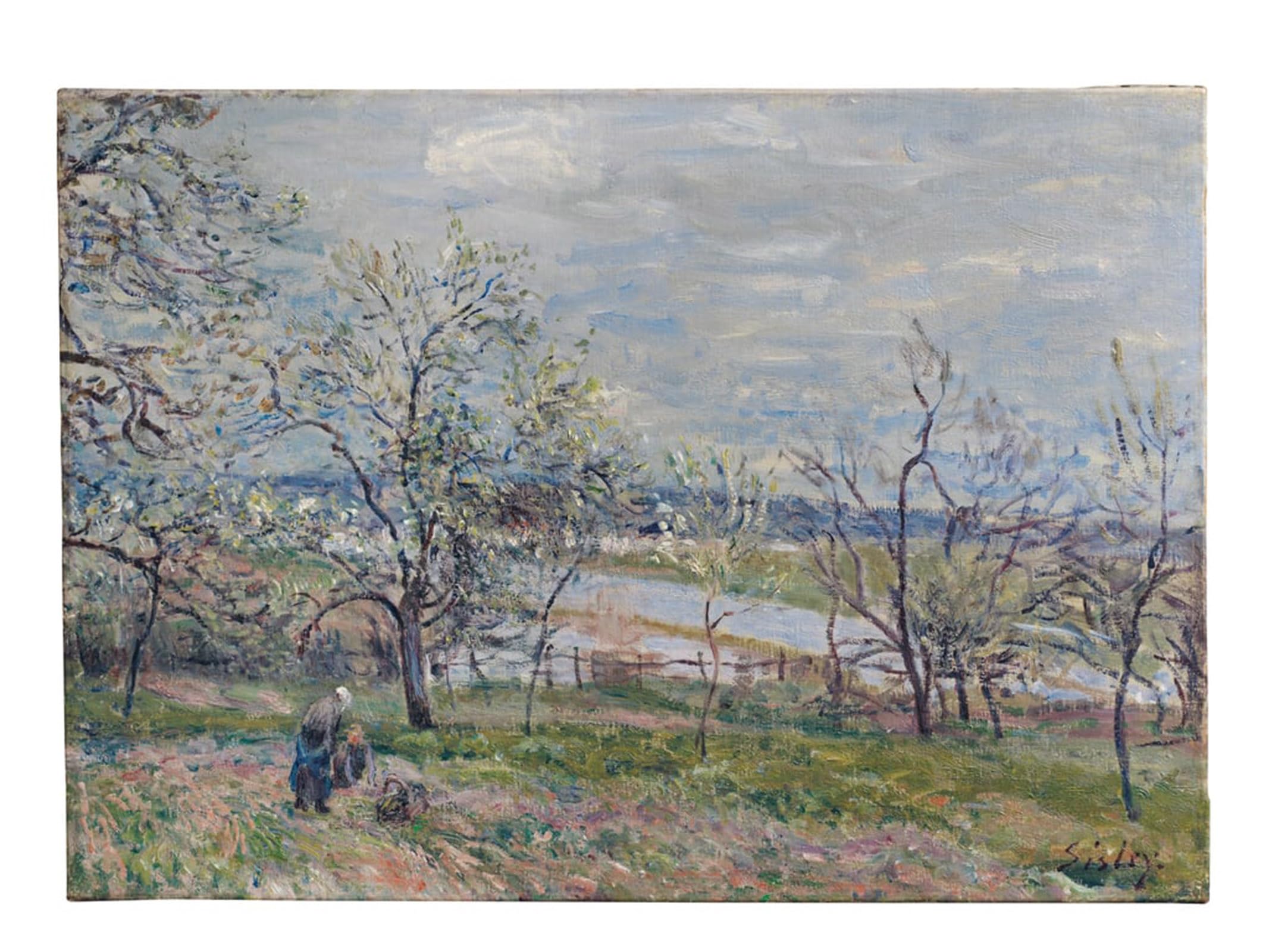 ARTXLXXBN Famous Print Painting Colorful Art Print Spring At Veneux Nadon by Alfred Sisle Canvas Art Decorations for Home Decor 60x90cm