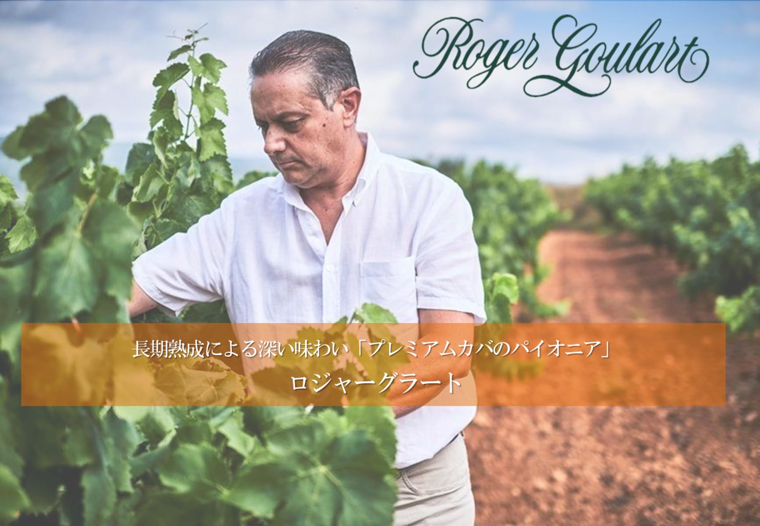 Amazon.co.jp: ロジャーグラート カバ グラン・レセルバ ジョセップ