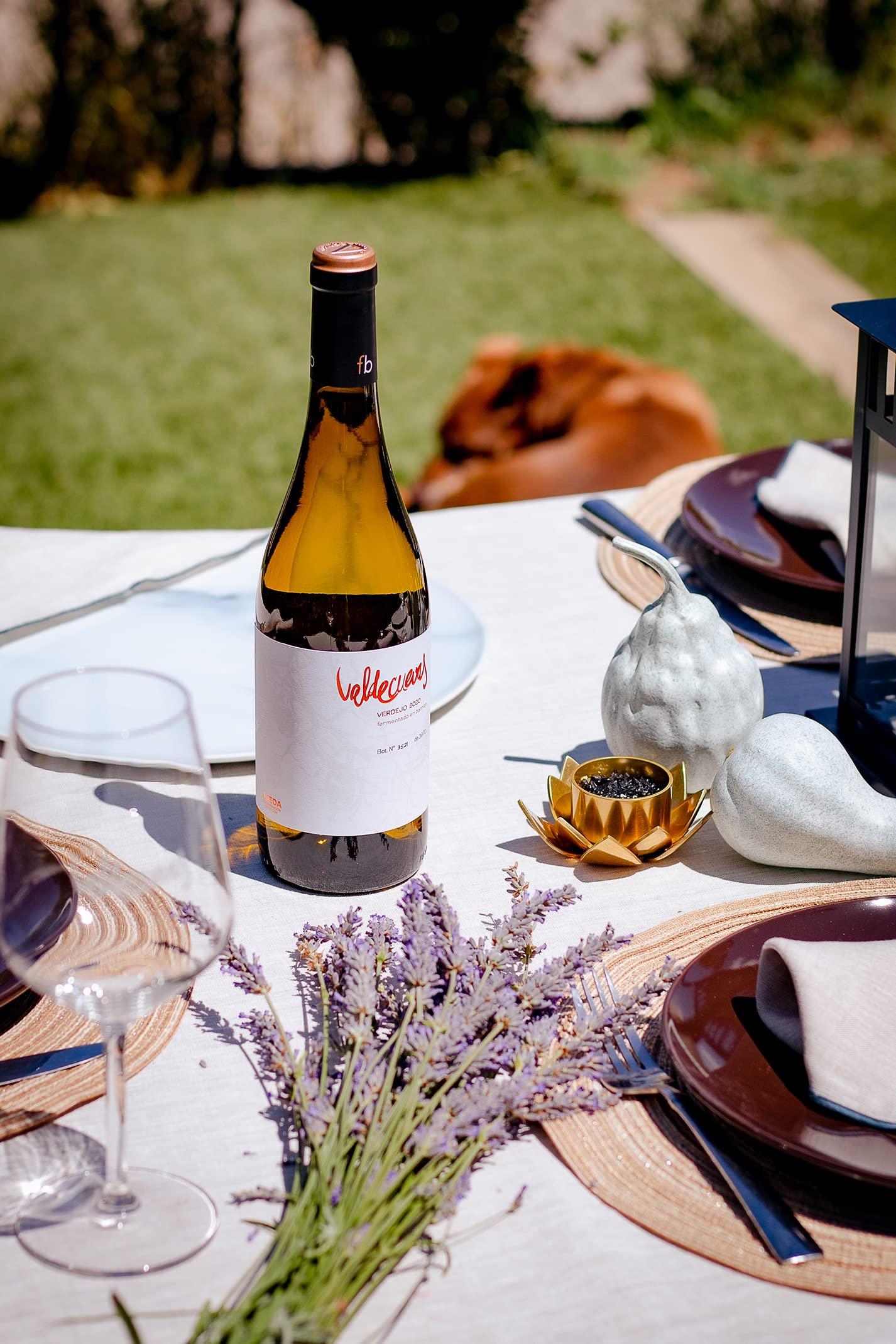 Valdecuevas Verdejo Fermentado en Barrica (750 ml) – Vino Blanco D.O. Rueda 100% Verdejo – Fermentado y criado en roble francés – Elegante, estructurado y aromático
