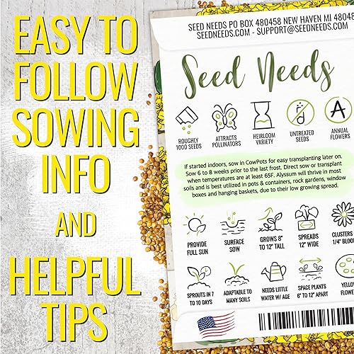 Miniatura 3 de Seed Needs Alyssum Semillas para plantar cesta de oro, flores anuales de reliquia para atraer polinizadores, mariposas y abejas a jardines de rocas