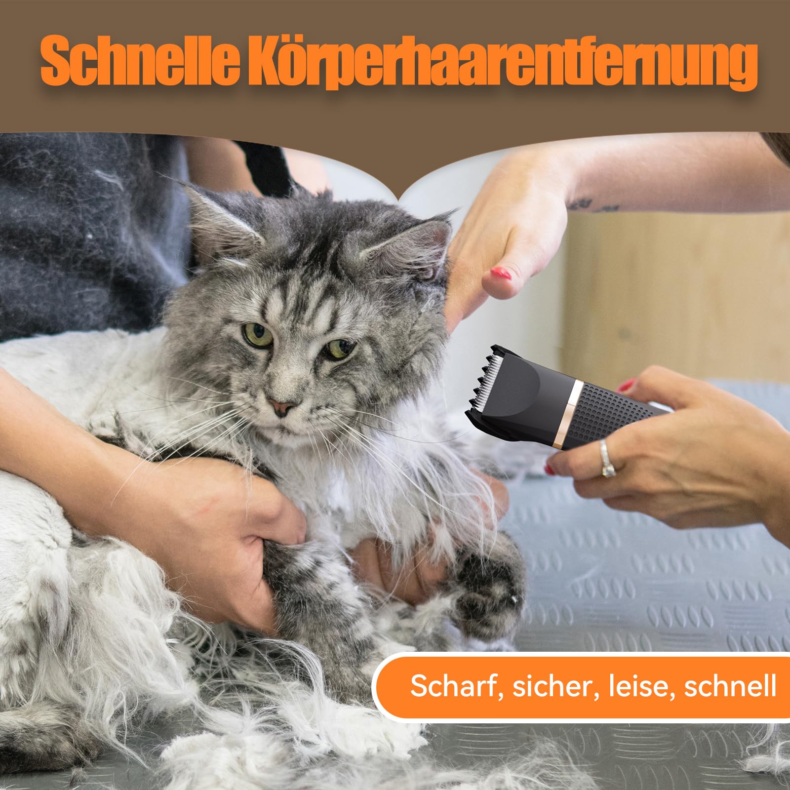 Leise Schermaschine Katze Set,Profi Haarschneidemaschine für Katzen Hunde Verfilztes Fell Pfotenhaare mit Pflegeschere & Kamm,USB-C-Aufladung, Schwarz