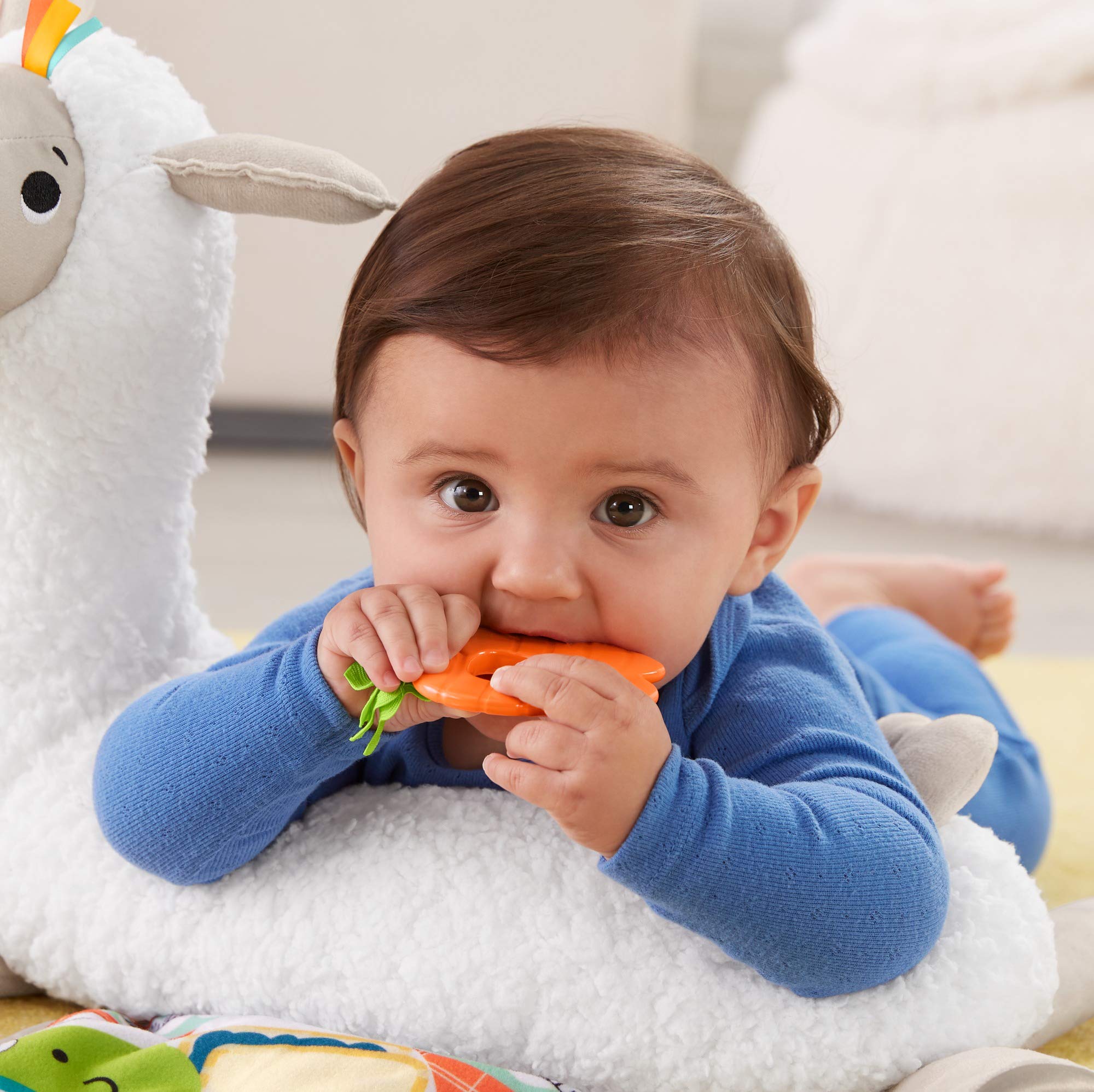 Fisher-Price- Morbido Lama Cresci con Me, Prima Infanzia Multiattività, Giocattolo per Neonati 0+Mesi, GHJ03