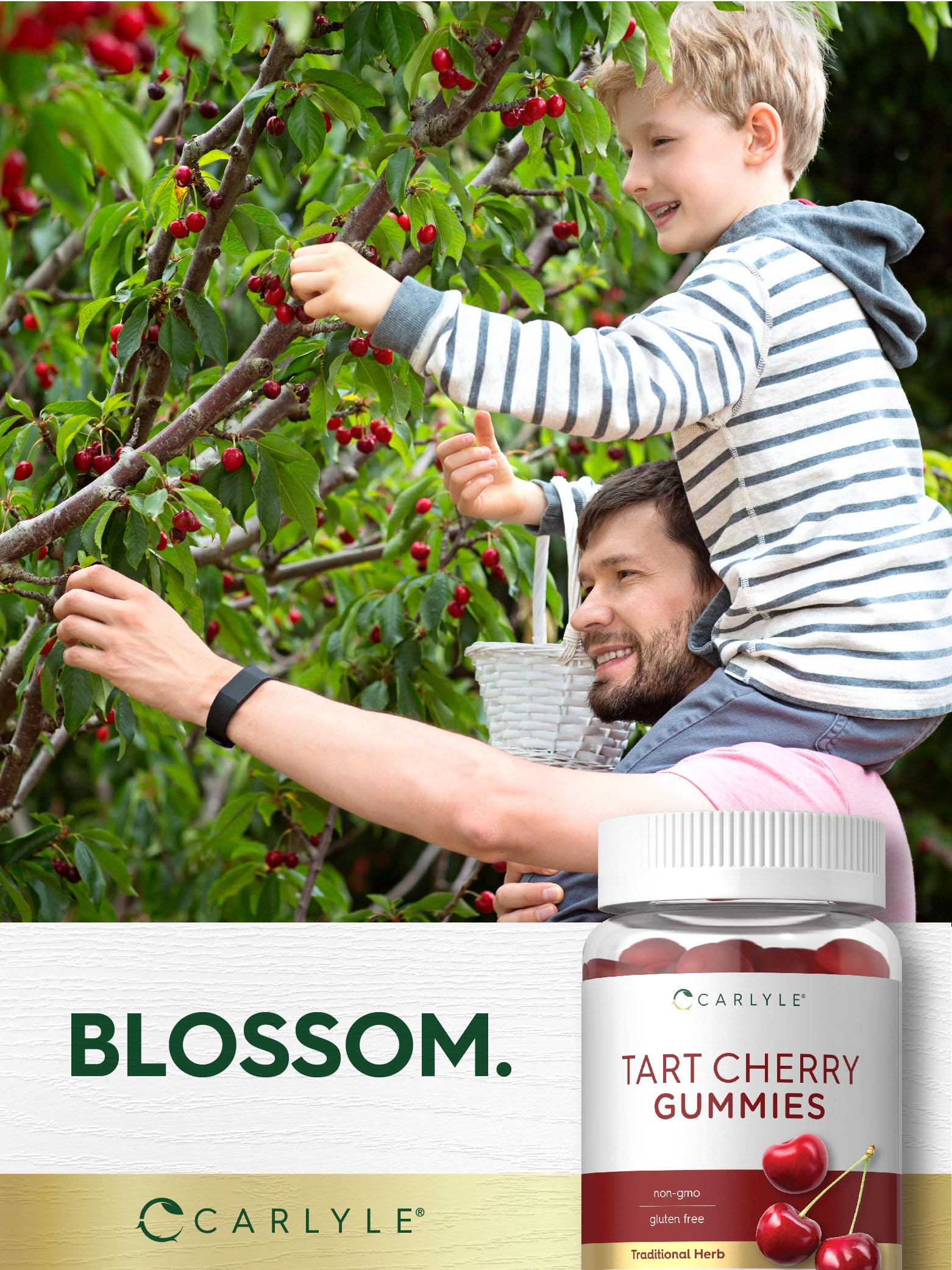 Carlyle Tart Cherry Gummies | 70 Count | Fruit Extract Supplement — Amazon image 7