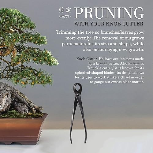 Miniatura 7 de BambooMN Bonsai Basics Set  Cortador de perilla de 8 pulgadas y tijera de corte de 7.2 pulgadas  1 juego