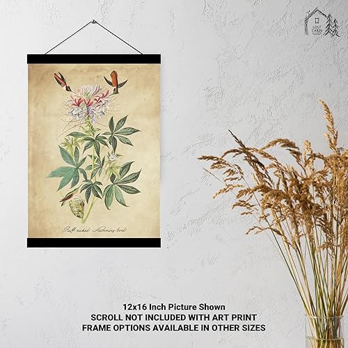 Miniatura 4 de Ruff Necked Humming Bird por James Audubon 12 x 16 sin marco  Decoración artística enmarcada  Reproducción de pintura de arte fino  Impresiones de