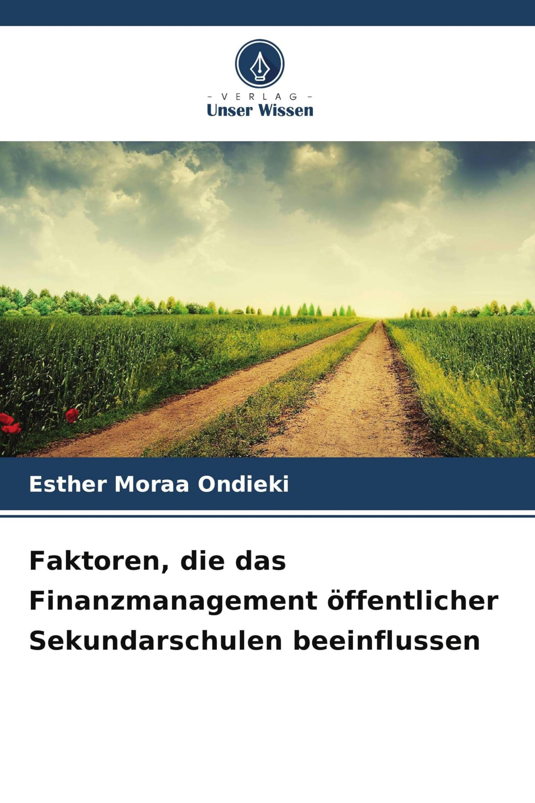 Faktoren, die das Finanzmanagement öffentlicher Sekundarschulen beeinflussen