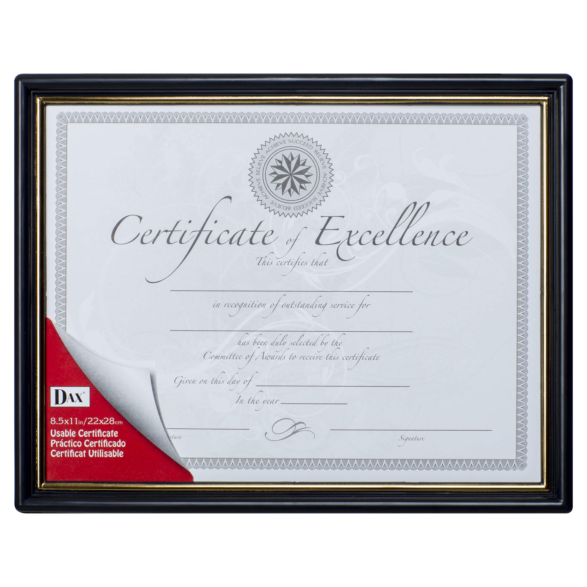 Dax 8.5x11 Classic Black and Gold Document Frame, Wall Display