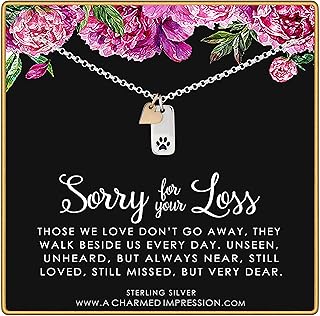 Gift for Loss of Pet â€¢ Sterling Silver Paw Print and Gold Heart Necklace â€¢ Grief Jewelry for Women Girls â€¢ Pawprints on my Heart â€¢ Sorry for Your Loss of Dog Cat â€¢ Pet Memorial â€¢ No Longer by my Side
